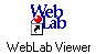 weblab.gif (450 Byte)