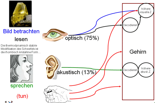 Visualisierung Langversion