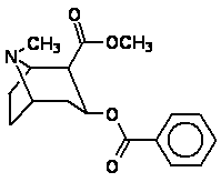 image196.gif (2696 Byte)