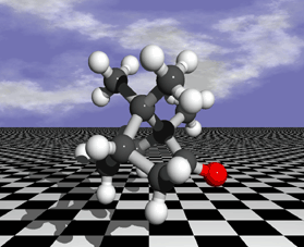 campher_himmel.gif (38997 Byte)